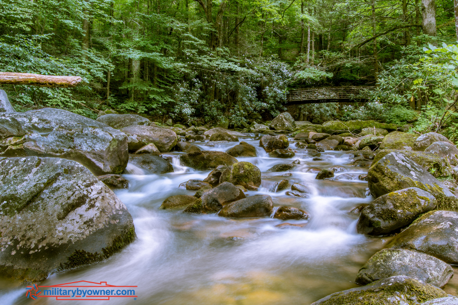 Ideas for Outdoor Fun Near Camp Lejeune, North Carolina